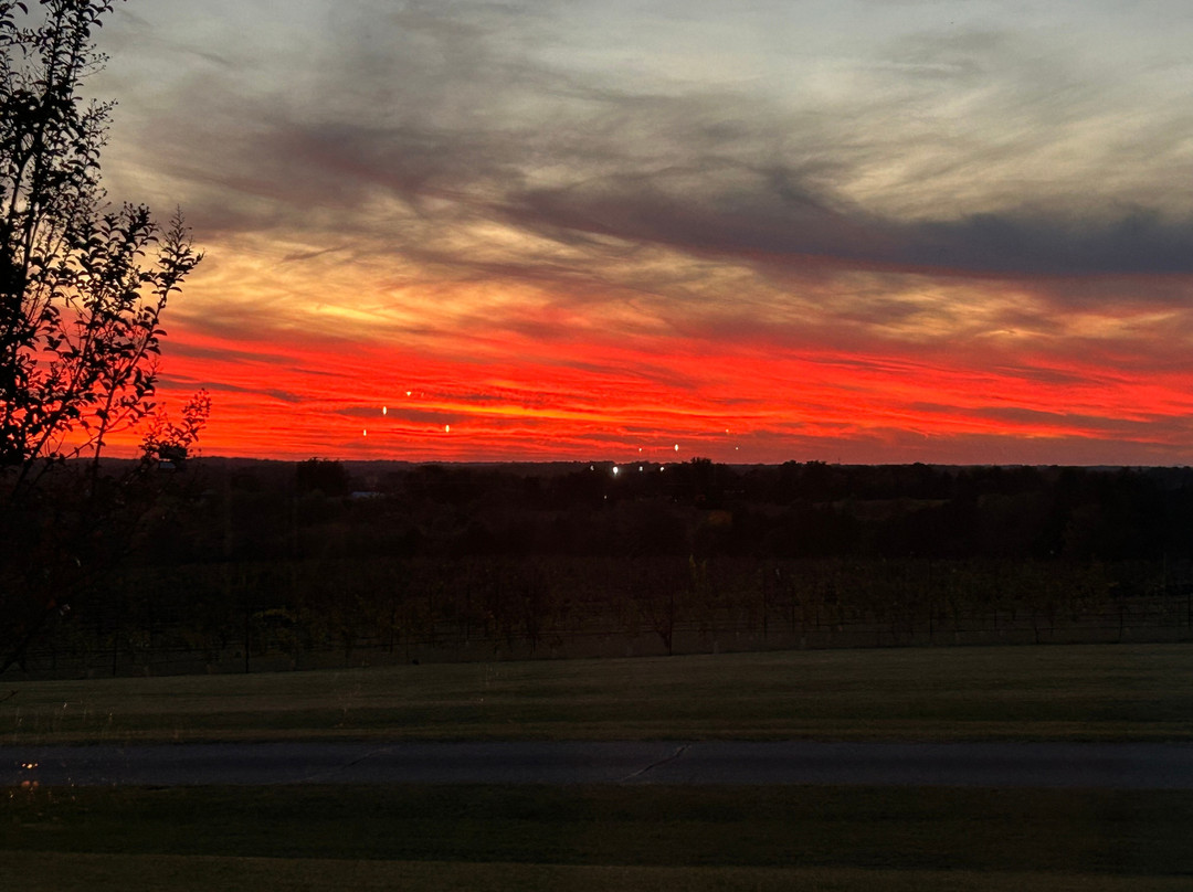 Rayson Winery and Vineyards-Mocksville必去景点