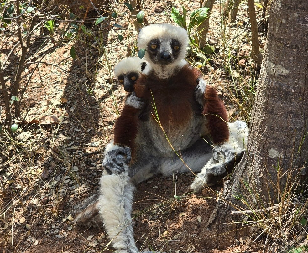 GMT+3 Great Madagascar Tours - Day Tours-安塔那那利佛必去景点