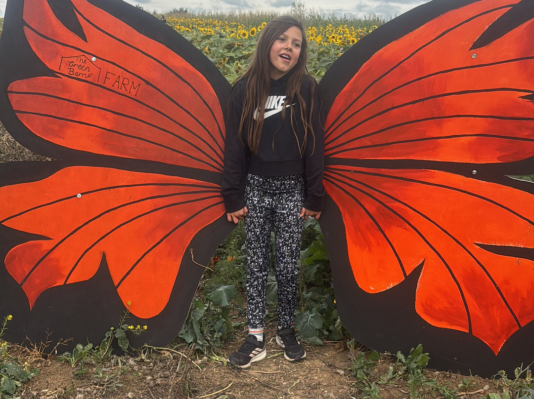 The Green Barn Farm Shop & Cafe-Benfleet必去景点