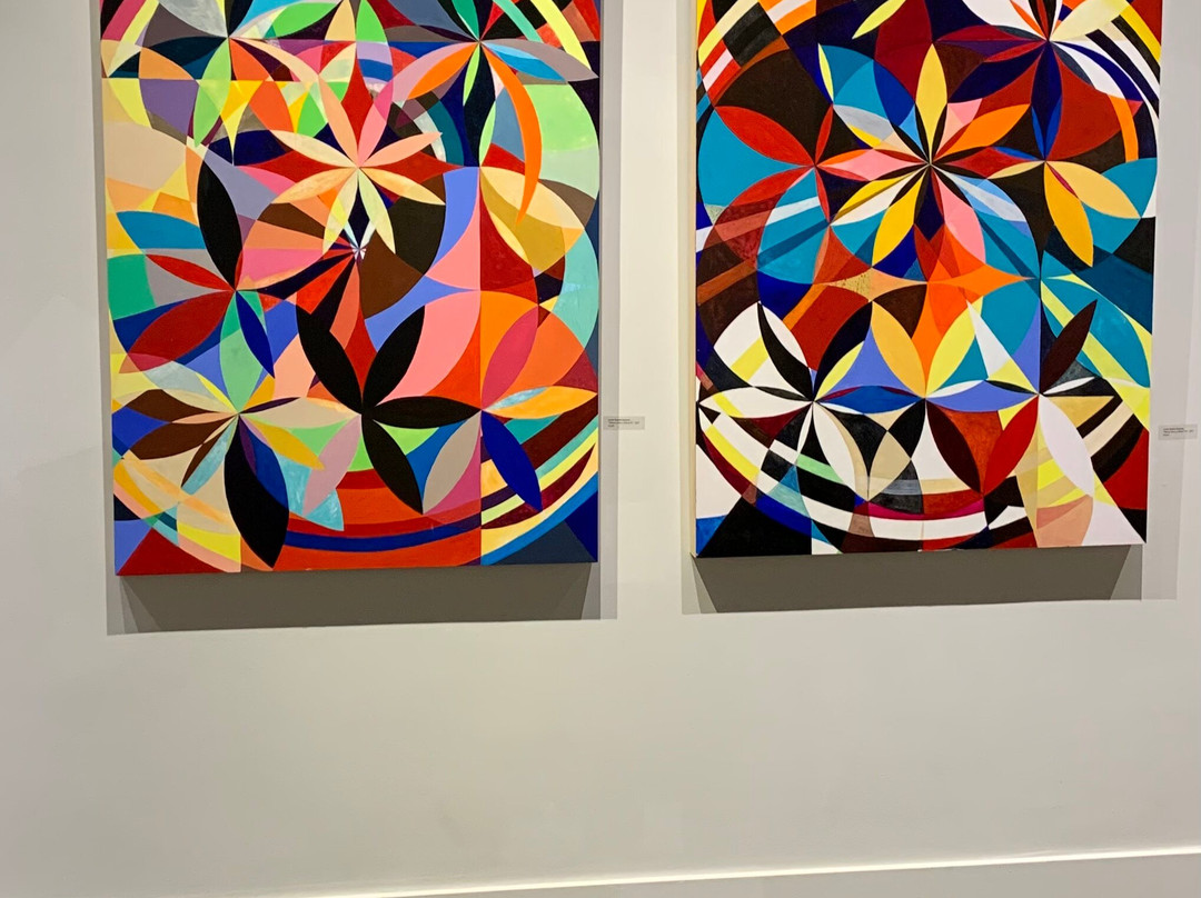 Museum Of Arts And Sciences-梅肯必去景点