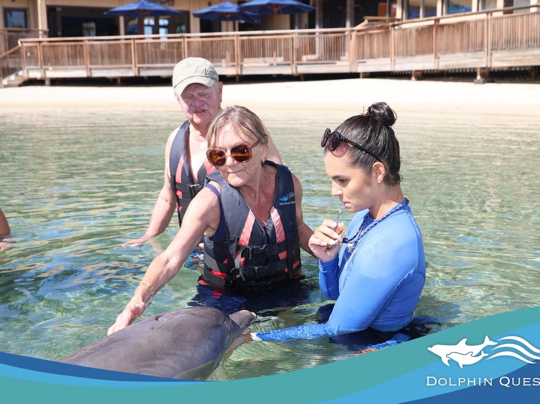 寻访海豚之旅-威可洛亚必去景点