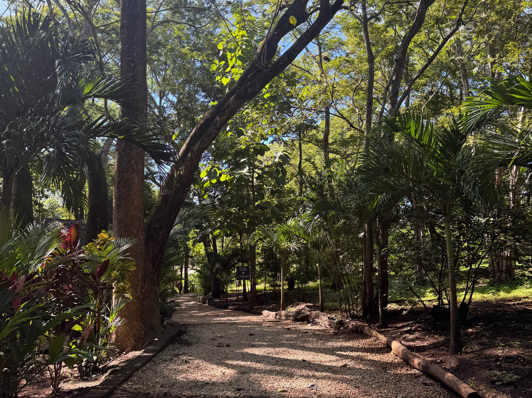 Sibou Spa-塔马林多必去景点