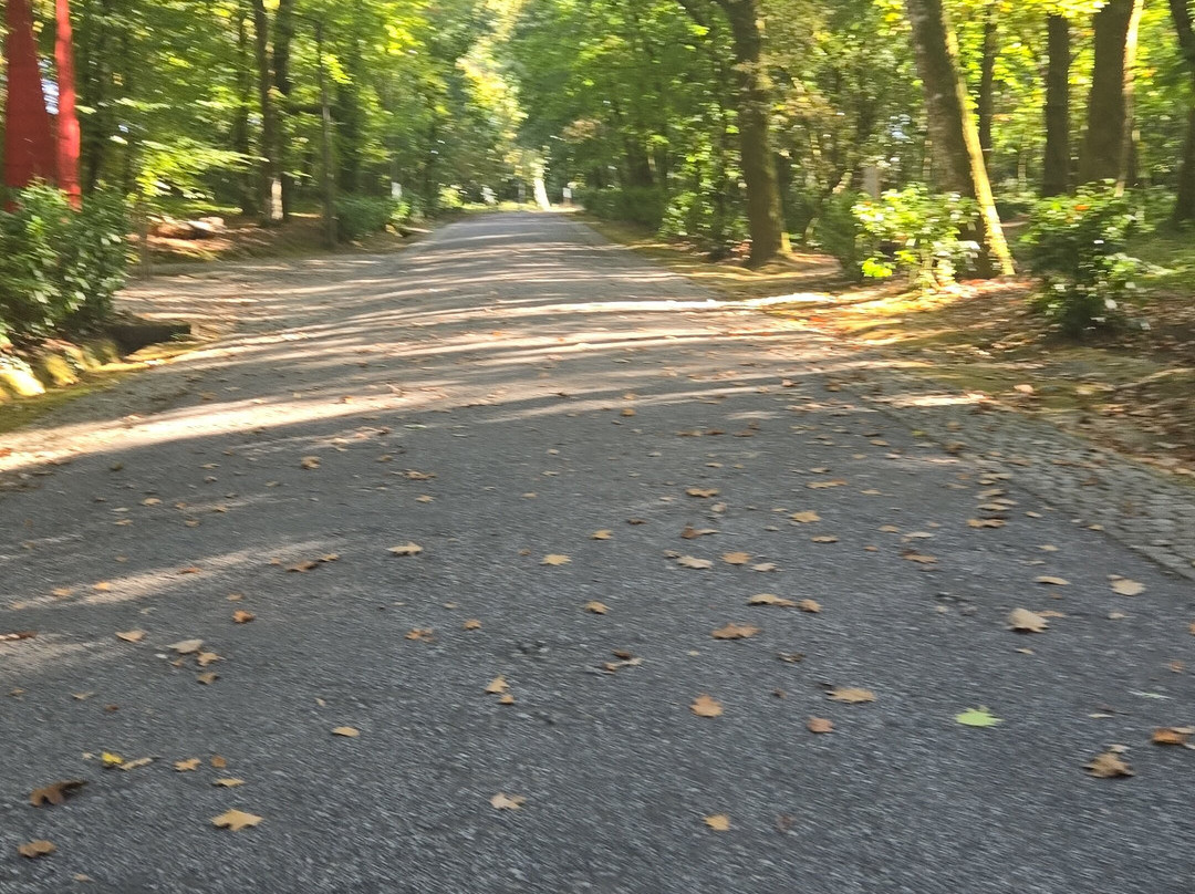 Parque do Fontelo-维塞乌必去景点