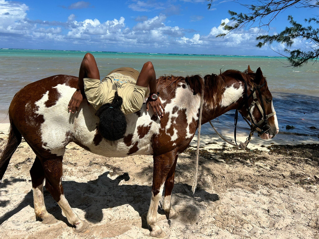 Spirit of the West-西湾必去景点