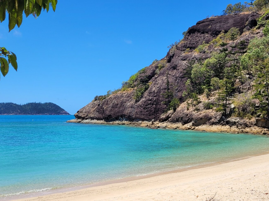 Scamper Island Camping-舒特港必去景点