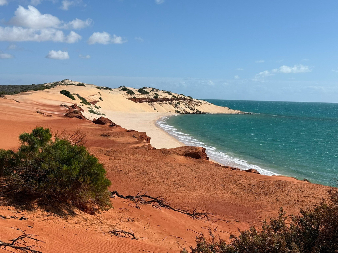 Wildsights-德纳姆必去景点