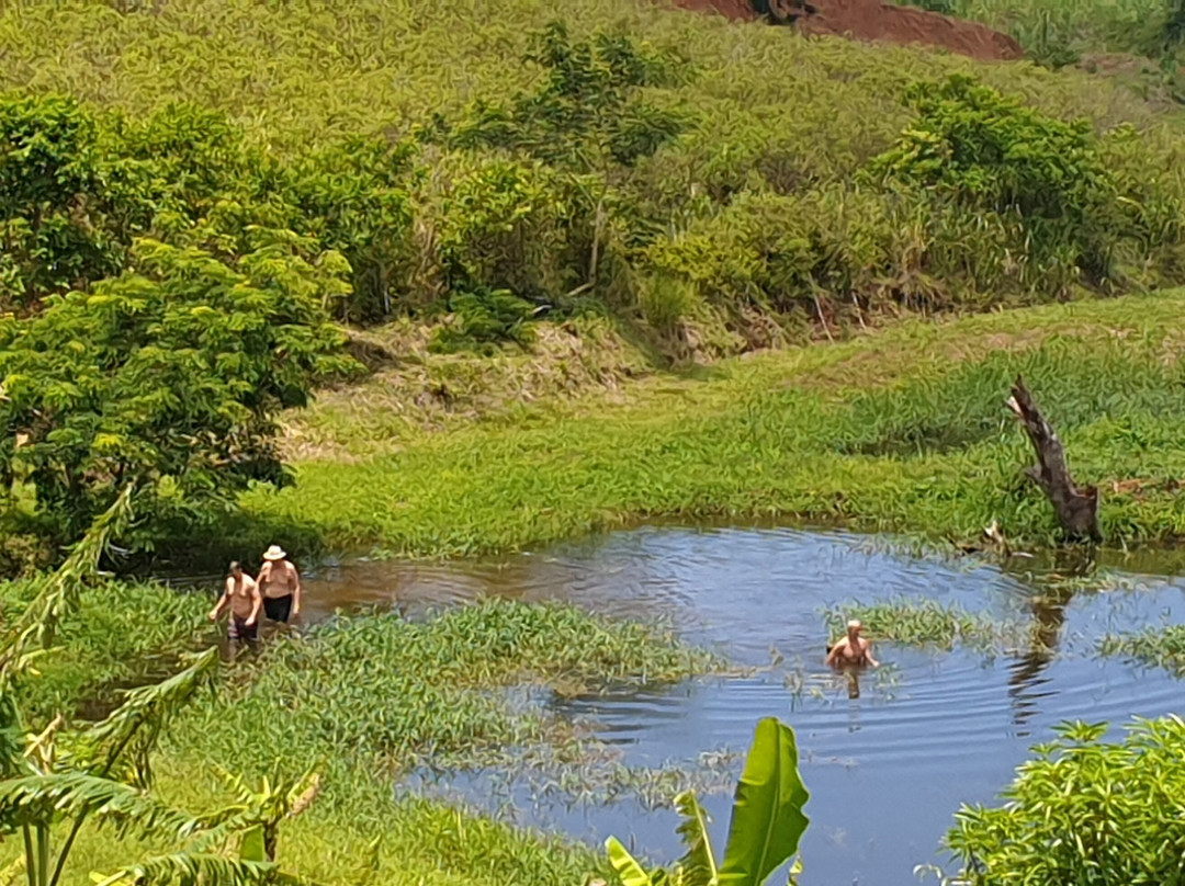 Terganic Farmstay-Bambous Virieux必去景点