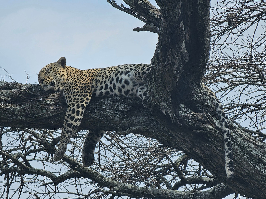 White Snow Travel-坦噶必去景点