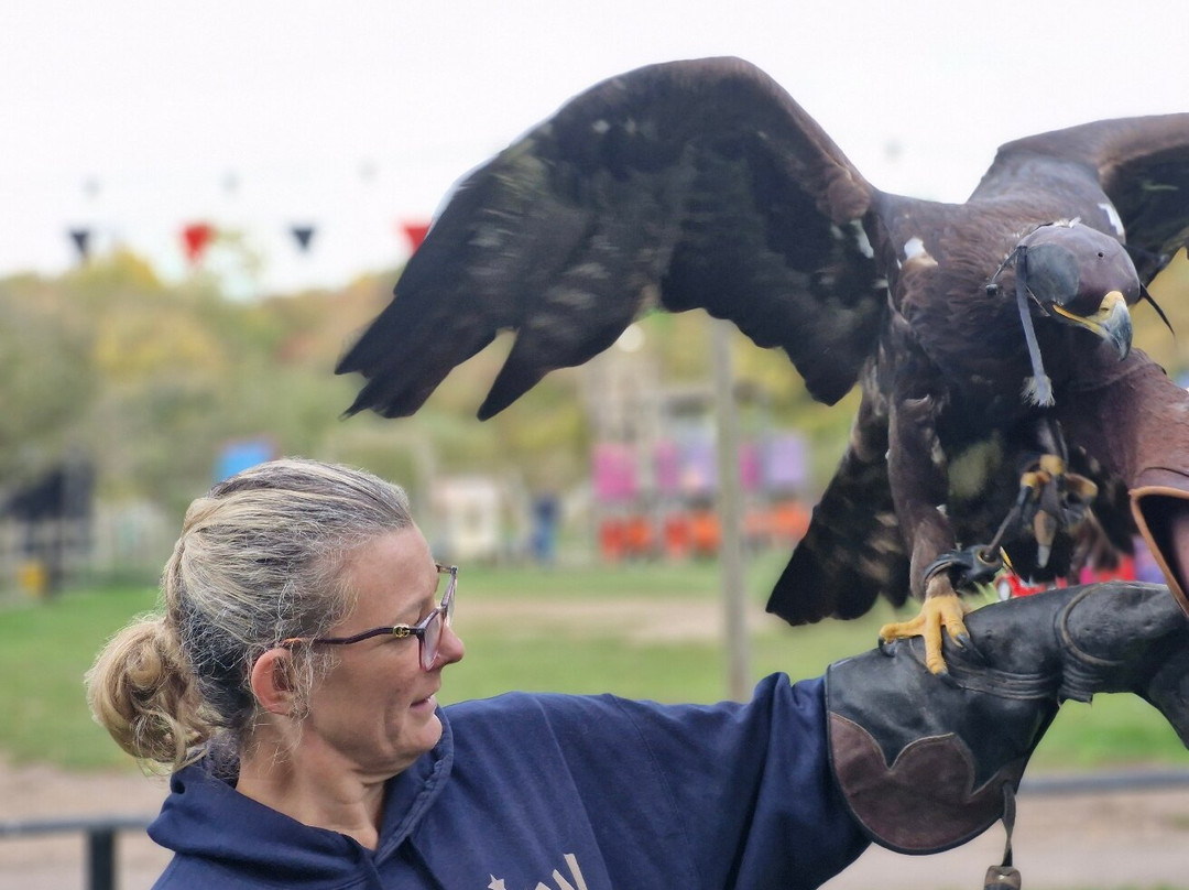 Kent Owl Academy-梅德斯通必去景点
