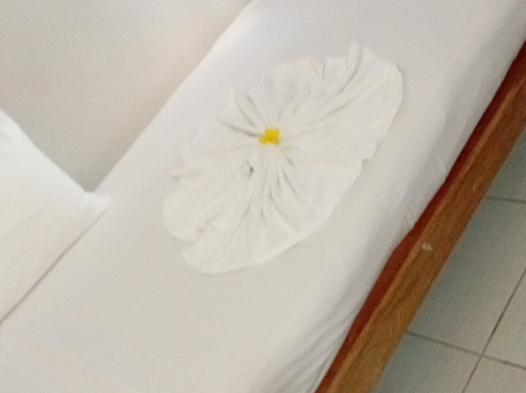 Domaine Les Rosiers主图