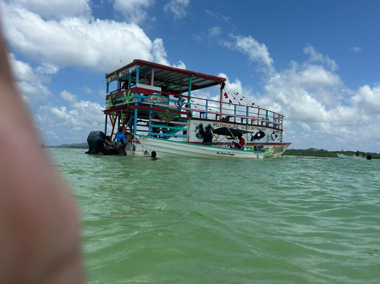 Cool Runnings Reef Tours-克朗波因特必去景点