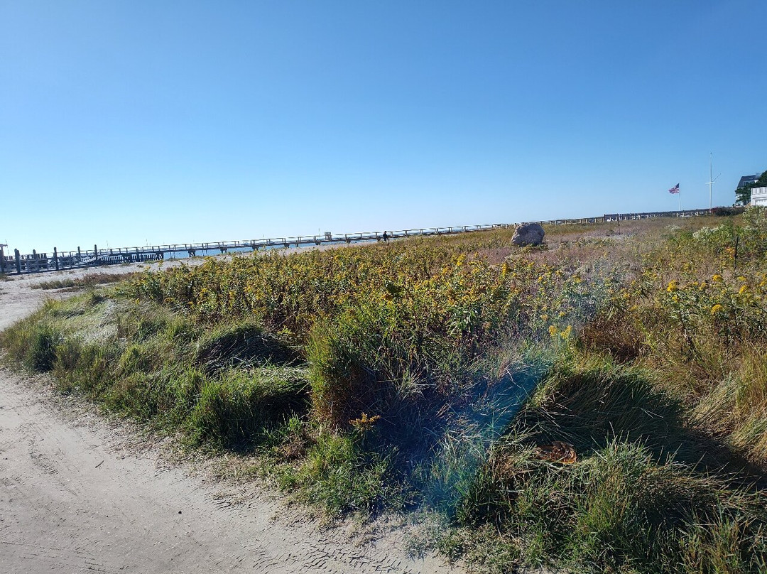 Eugenia Fortes Beach-Hyannis Port必去景点