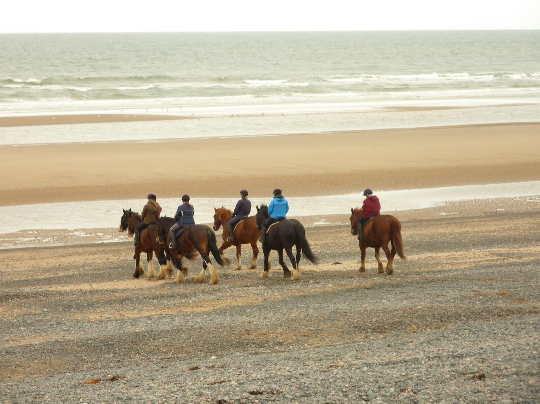 Cumbrian Heavy Horses-Millom必去景点