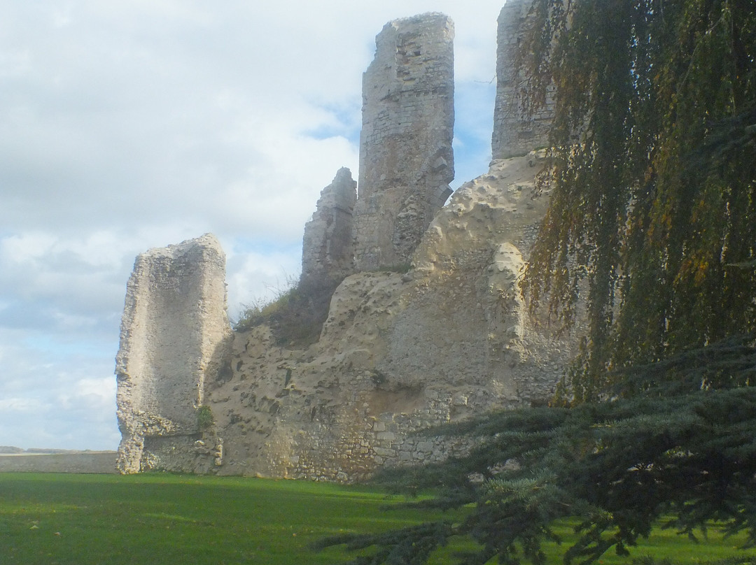 Château de Vendôme-旺多姆必去景点