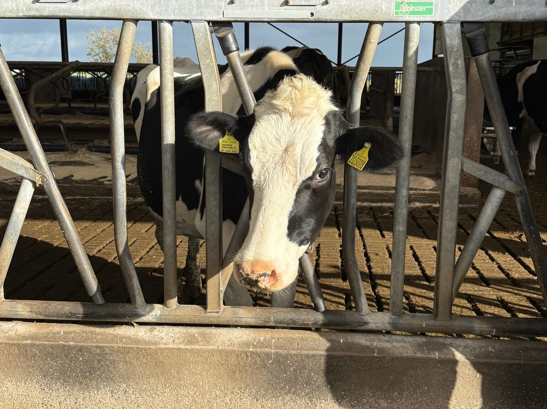 Tunstall Farm Park-Woodseaves必去景点