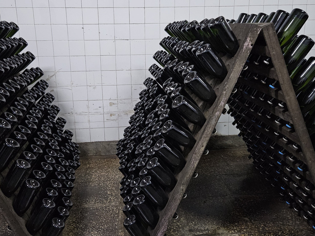 Cricova Winery-Cricova必去景点