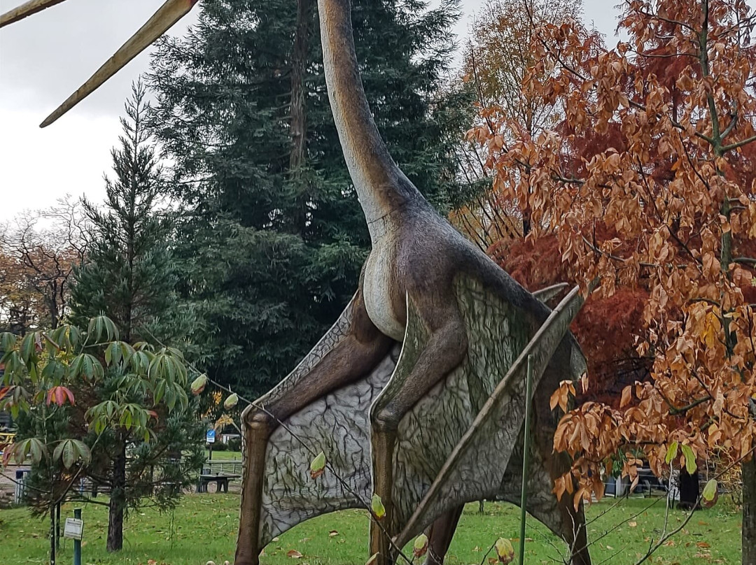 Het Oertijdmuseum-Boxtel必去景点