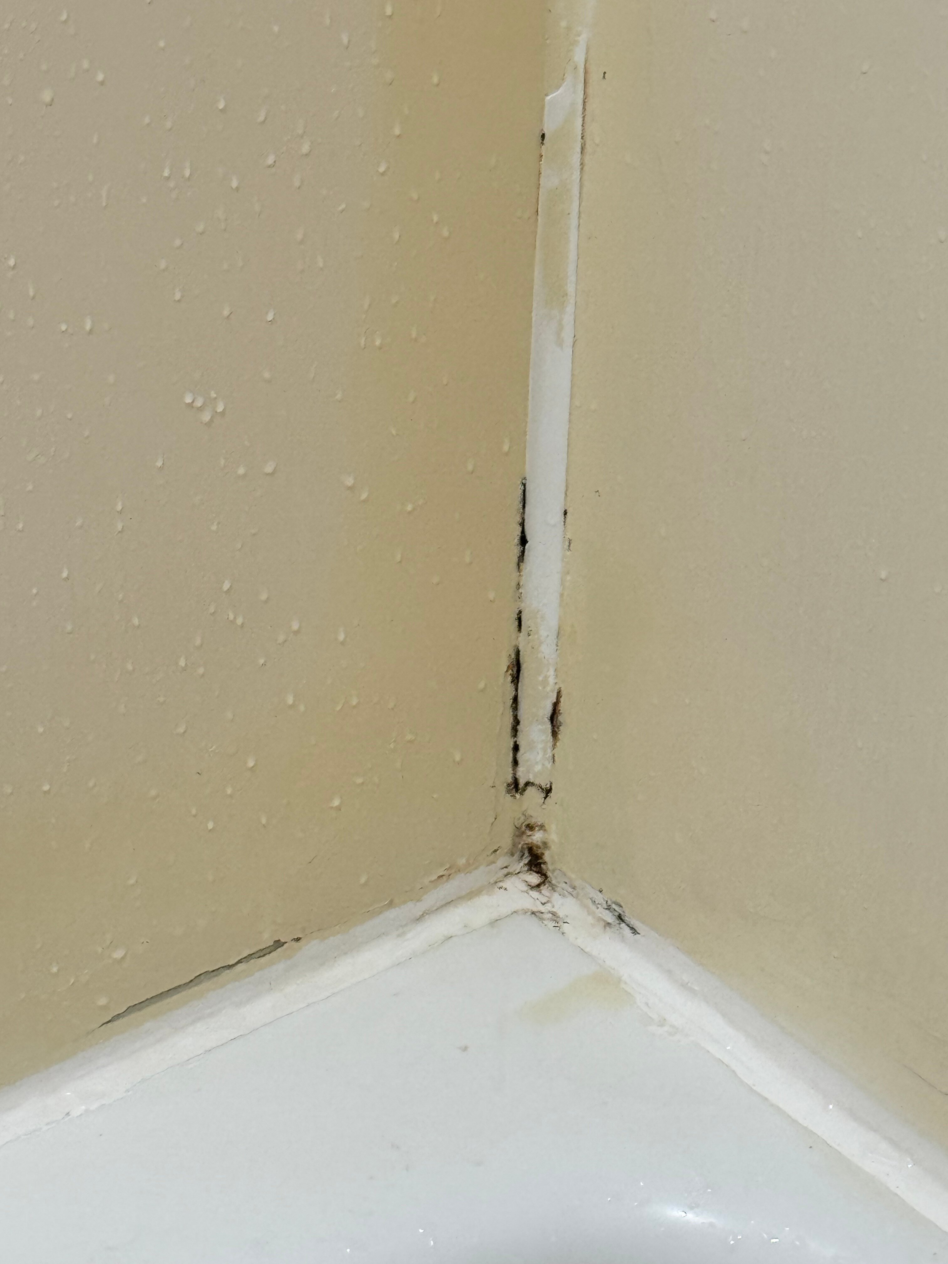 iStay Hotel Ciudad Juarez-官方