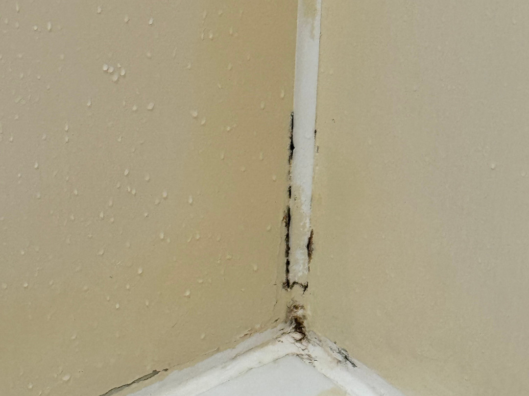 iStay Hotel Ciudad Juarez主图