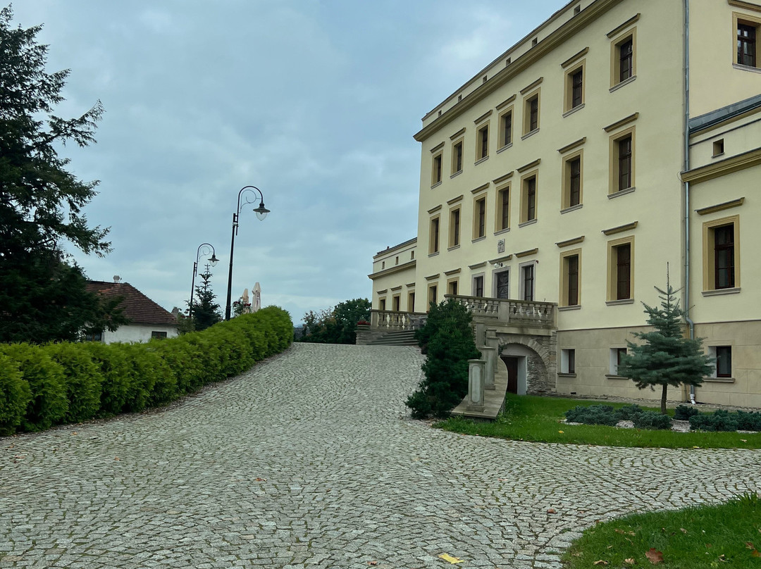 Palac Lubiechowa主图