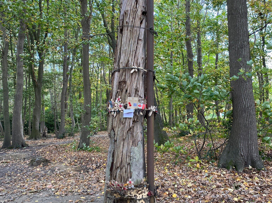 Sanctuary Wood Museum-Zillebeke必去景点