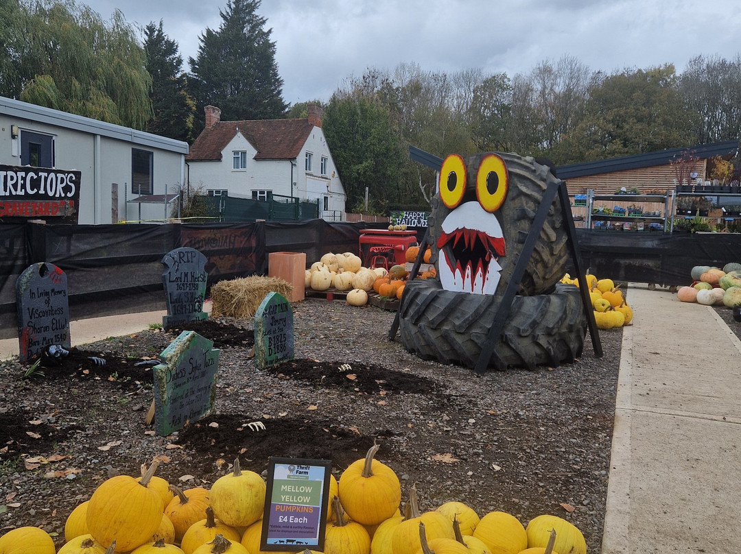 Thrift Farm-Whaddon必去景点