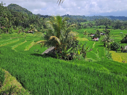 Guide Francophone à Bali - Madé B et équipes-沙努尔必去景点