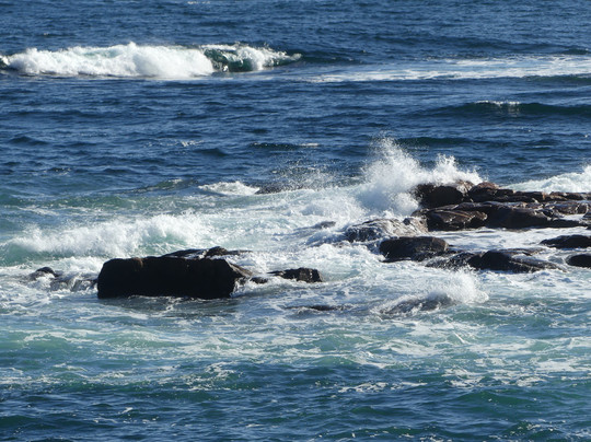 Cabot Discovery Tours-Baddeck必去景点