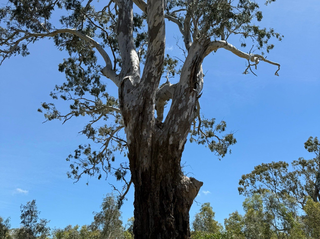 Mullinger Swamp-Kybybolite必去景点