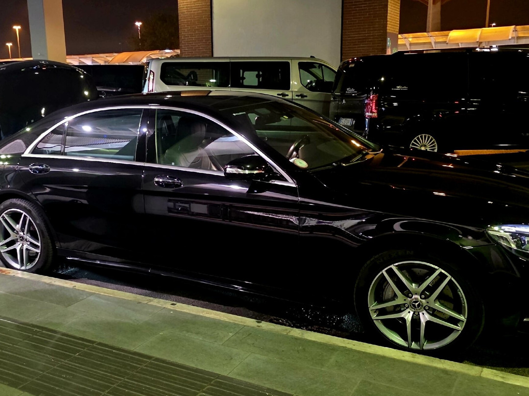 Luxury Transfer Services®Venezia-威尼斯必去景点