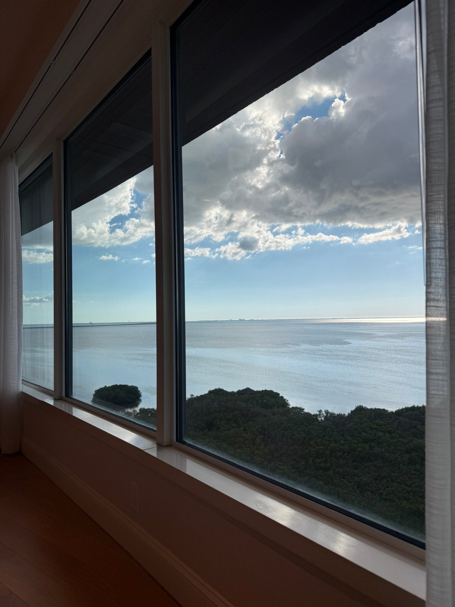 坦帕湾君悦豪华酒店-官方