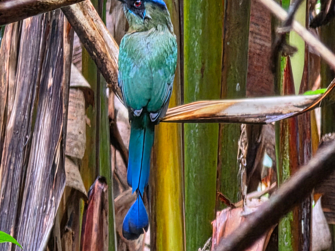 C. R. Referrals Travel-Atenas必去景点