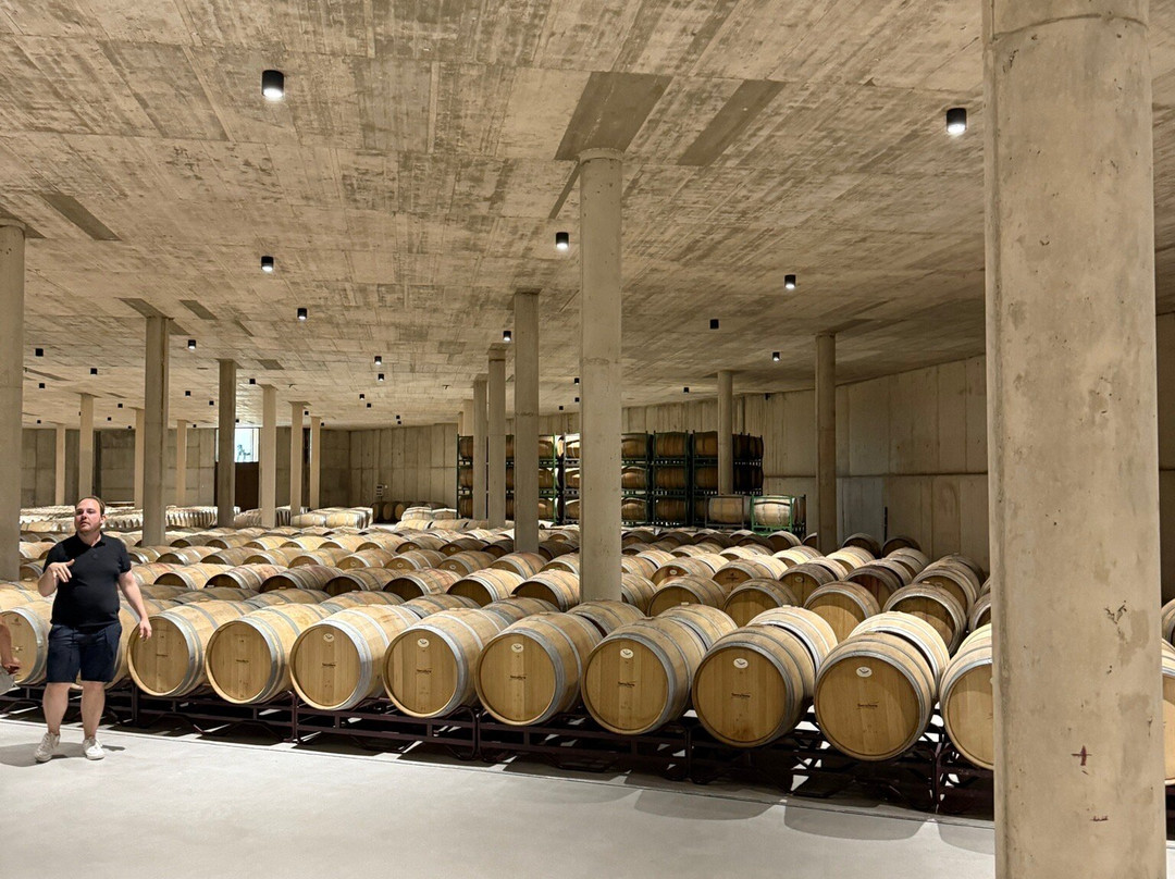 Bodega Sierra Norte-Requena必去景点