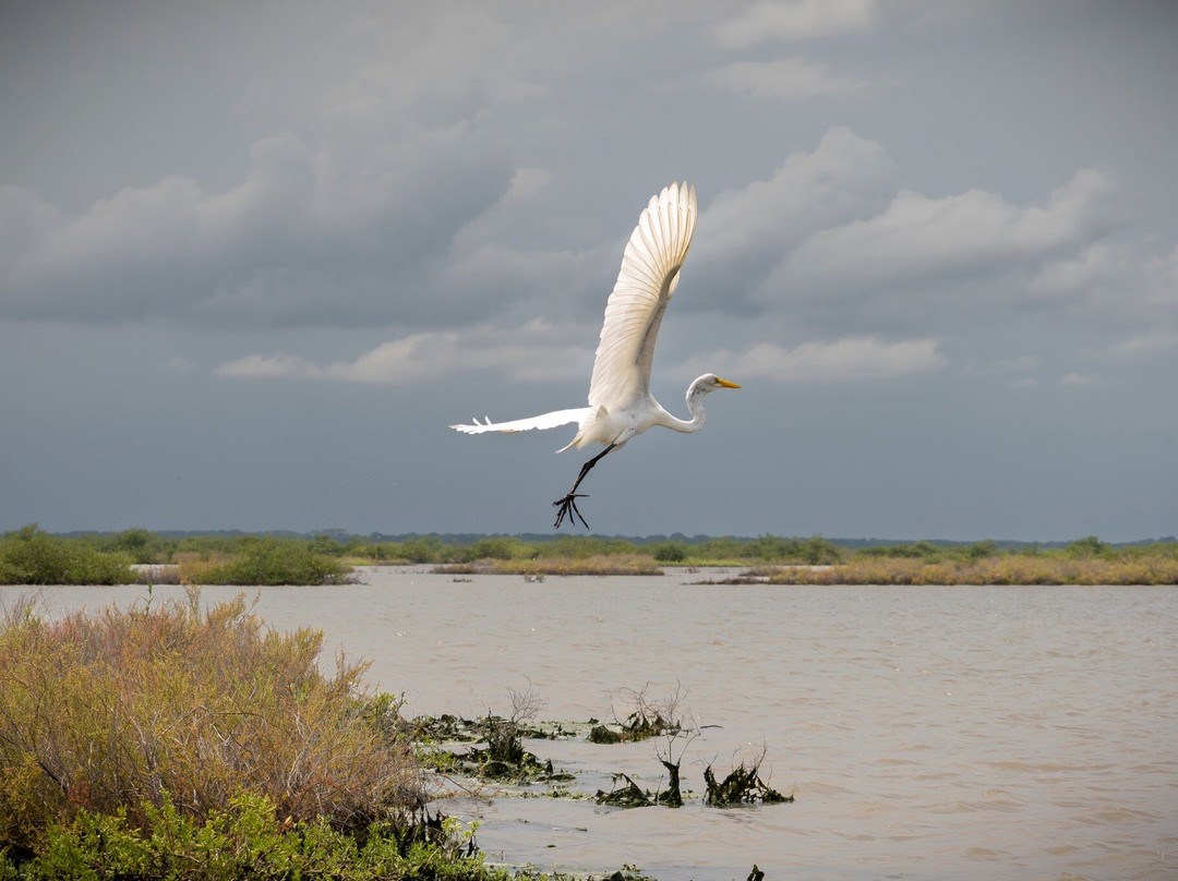 Santuario de Fauna & Flora-Camarones必去景点