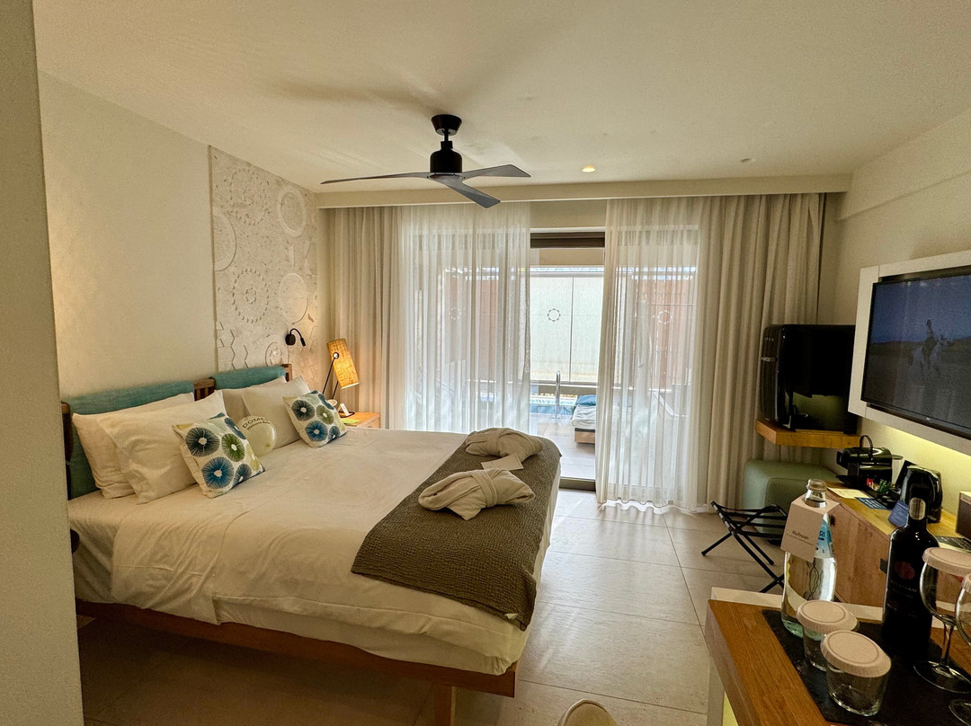 Domes Noruz Chania, Autograph Collection主图