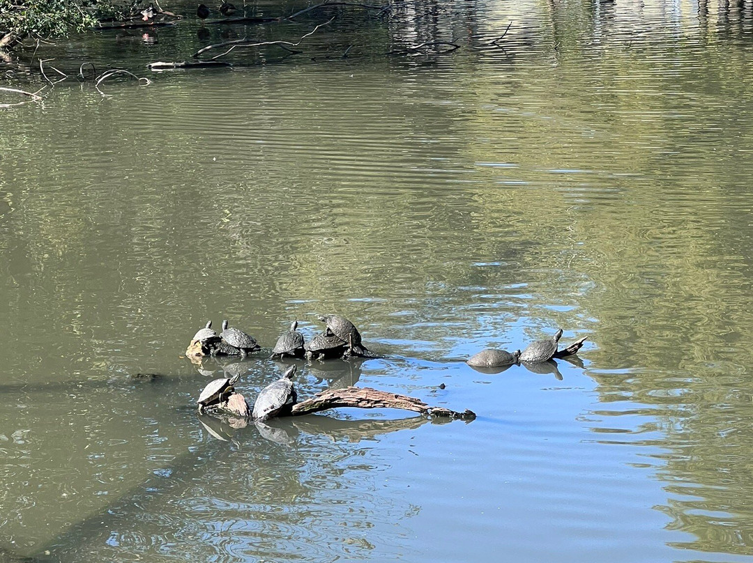 奥德邦动物园-新奥尔良必去景点