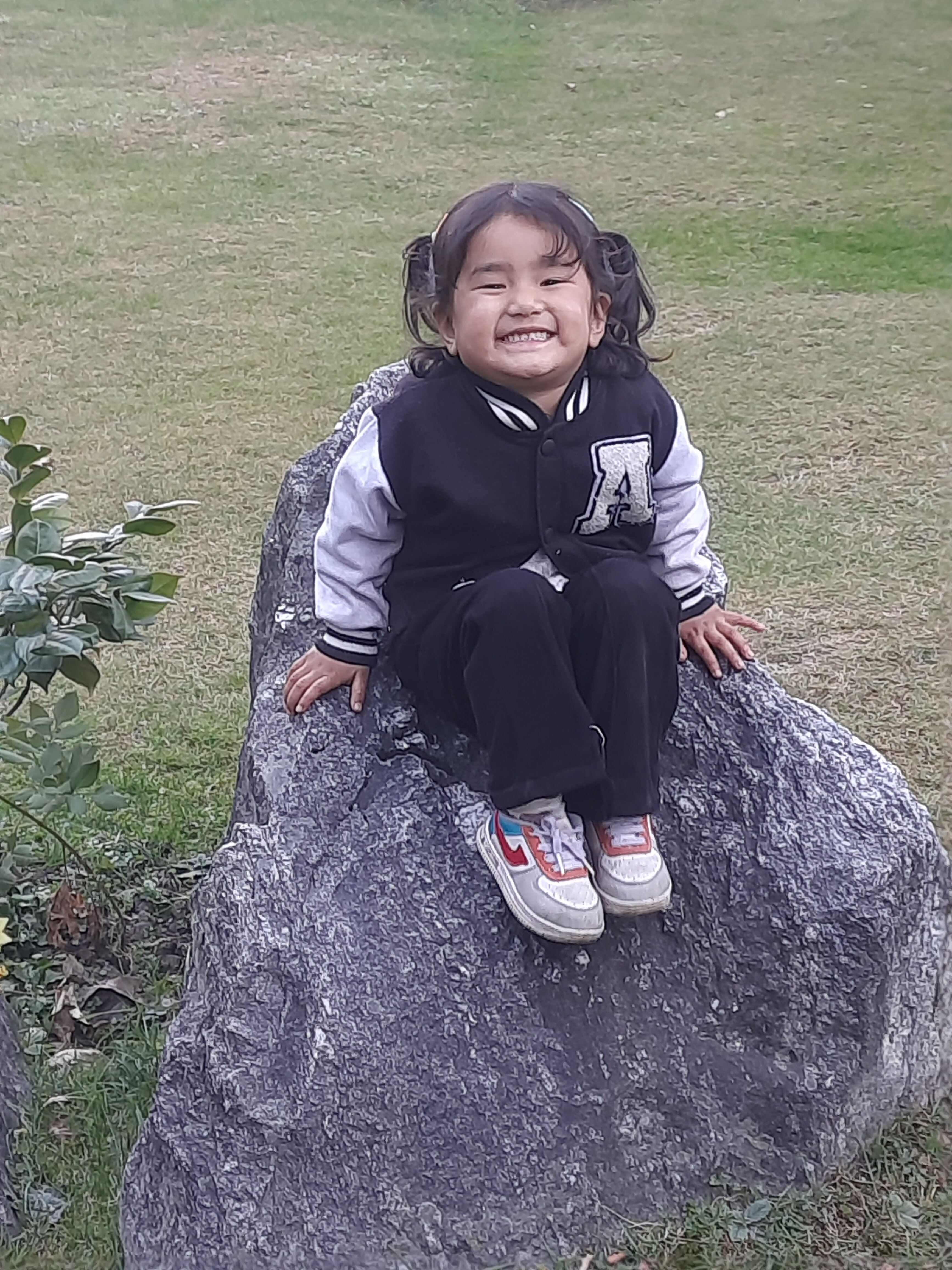 Solang Valley Resort-官方