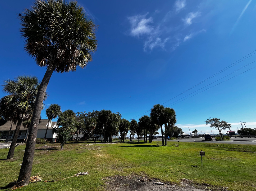 Cedar Key Public Beach-锡达礁必去景点