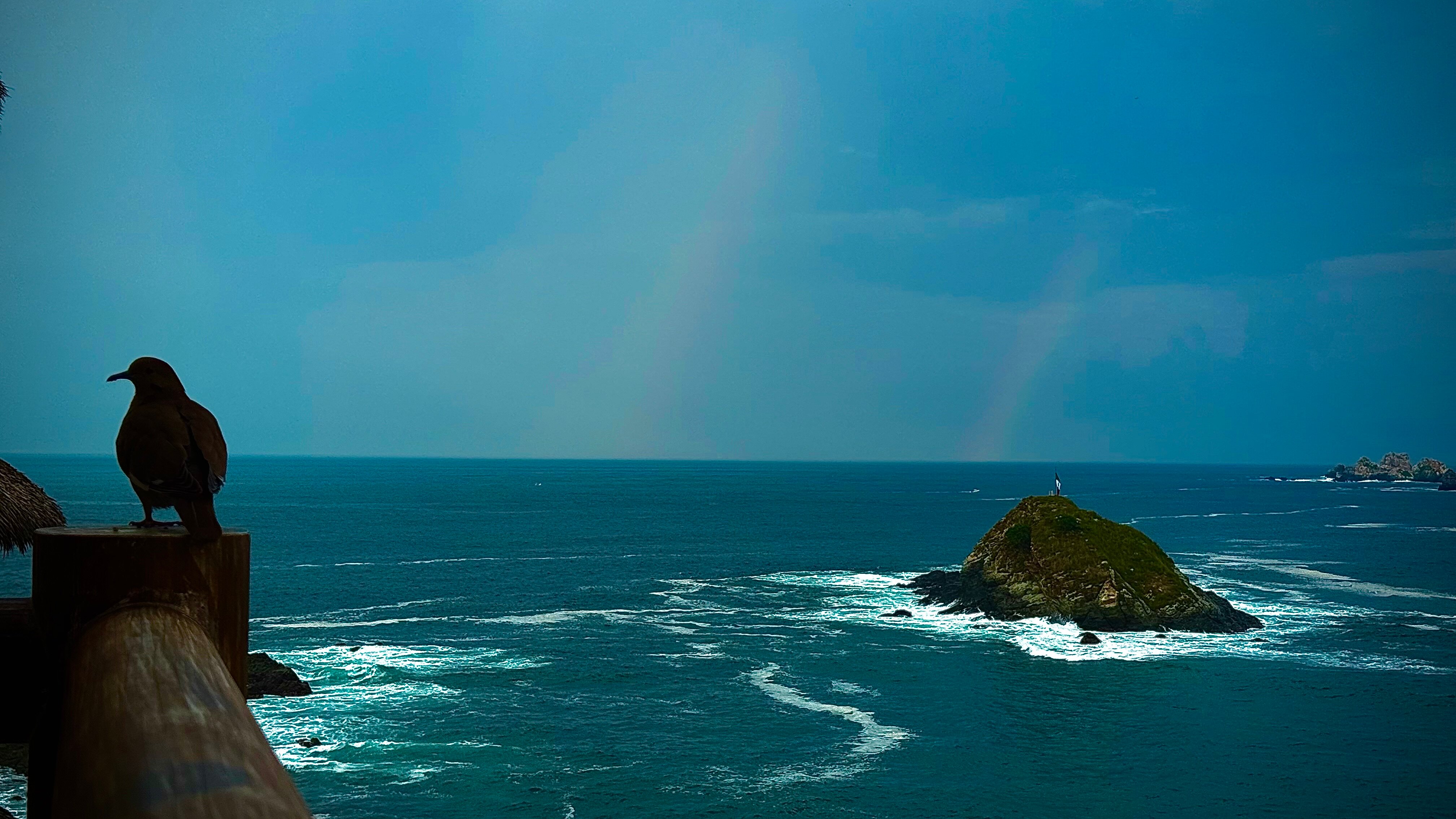 Pacifica Resort Ixtapa-官方