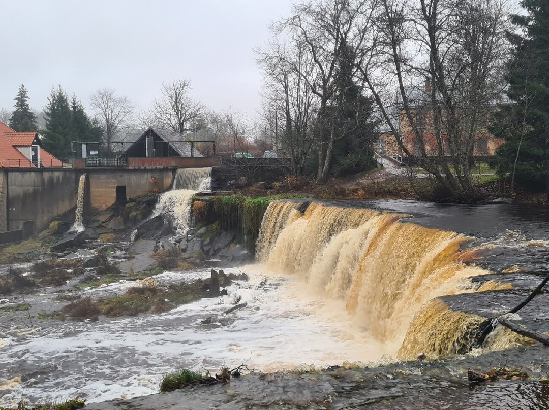 Nature Trail in Keila Joa Park-Keila必去景点
