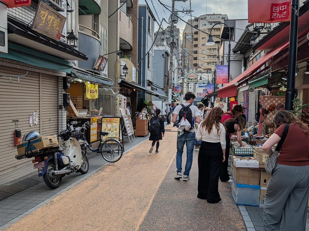 Yanaka Ginza Shopping Street-Yanaka必去景点