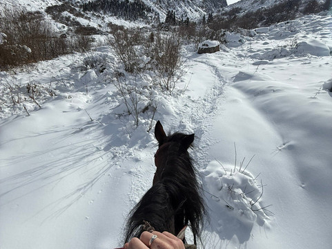 Visit Alay Bishkek-比斯凯克必去景点