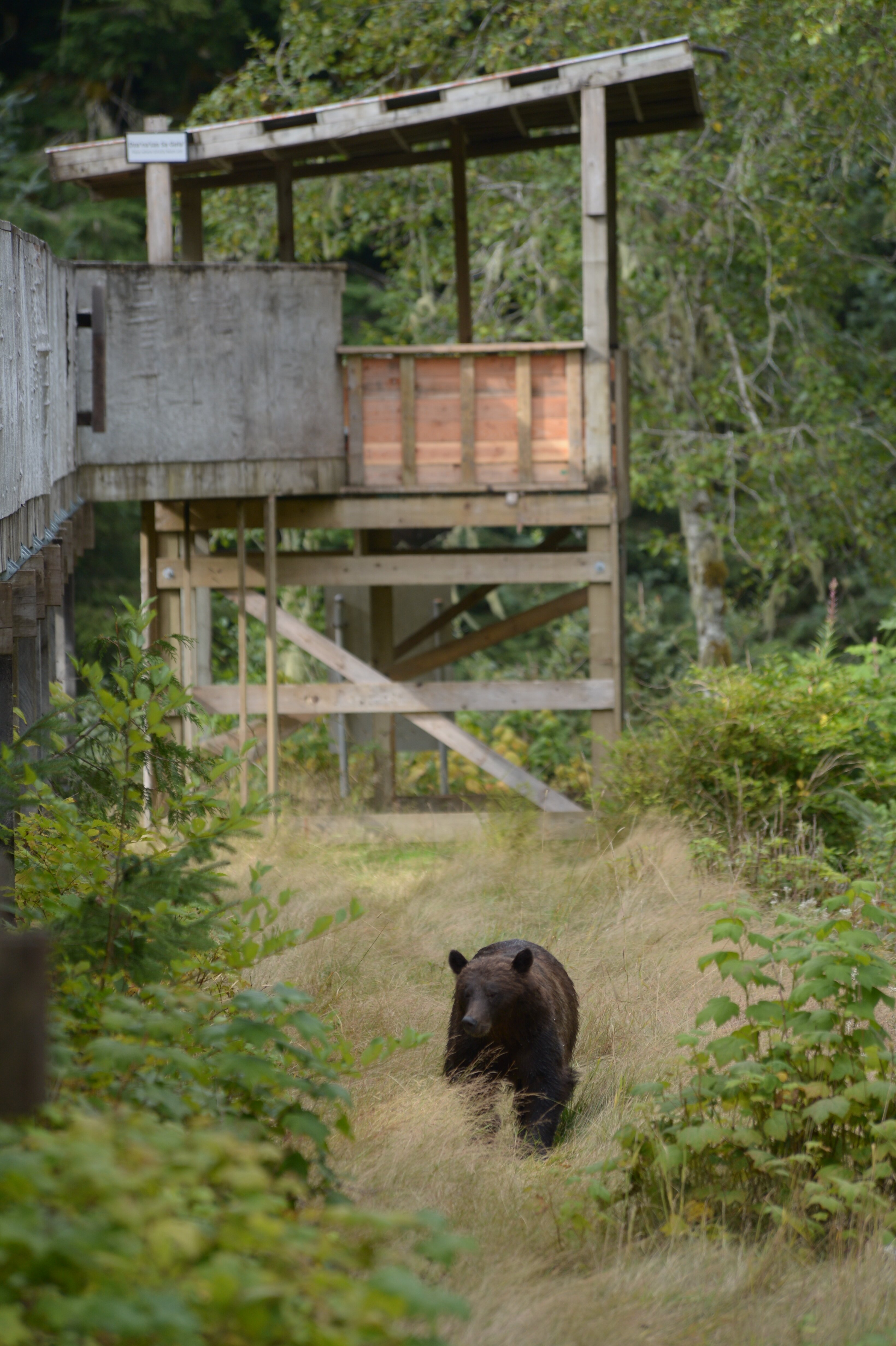 Knight Inlet Lodge-浴室