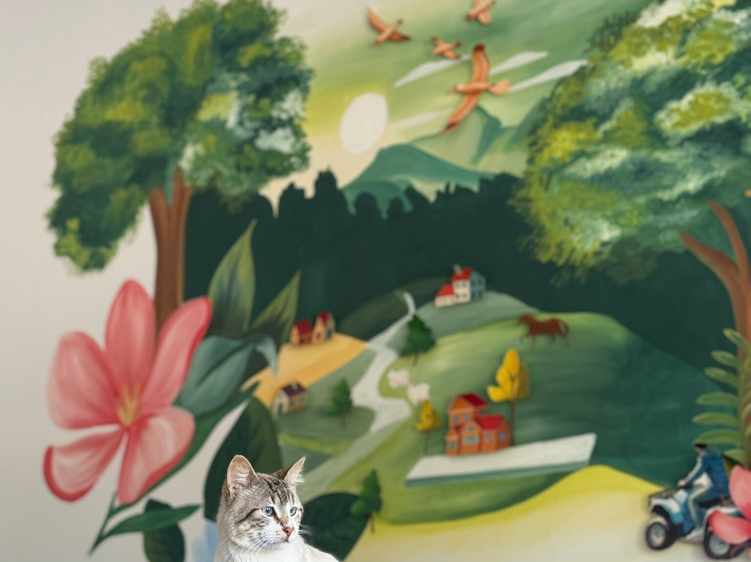 Pousada Di Venezia主图