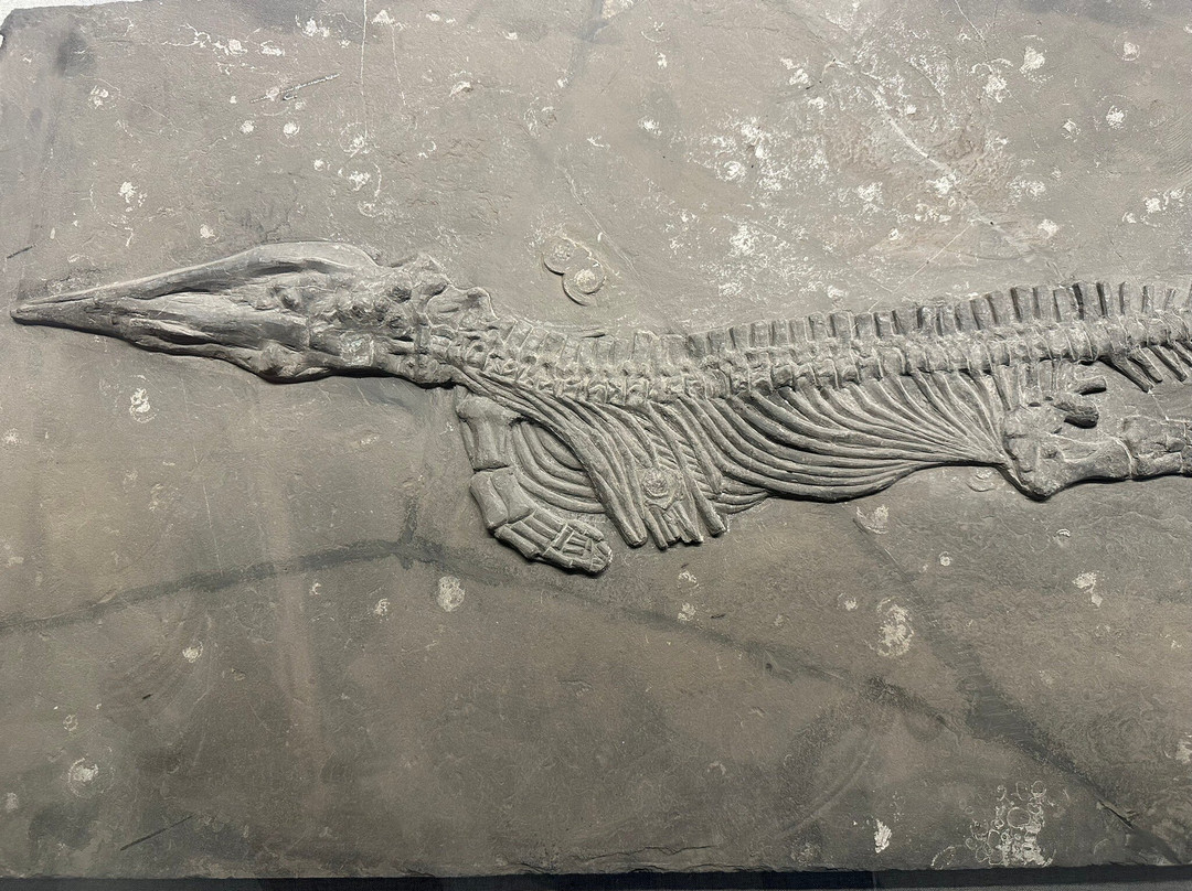 安顺地区博物馆-安顺市必去景点