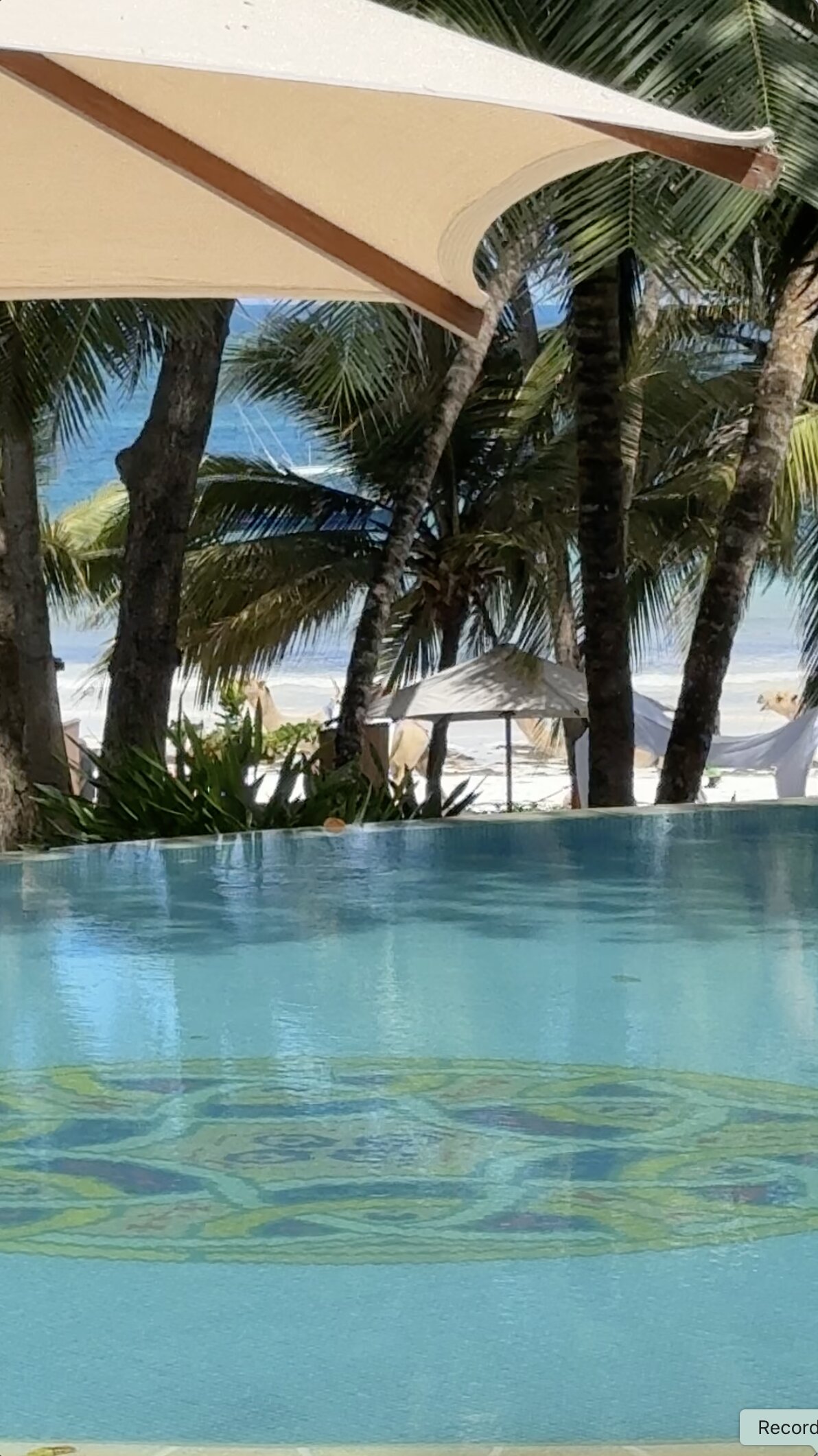 Almanara Luxury Boutique Hotel & Villas-泳池