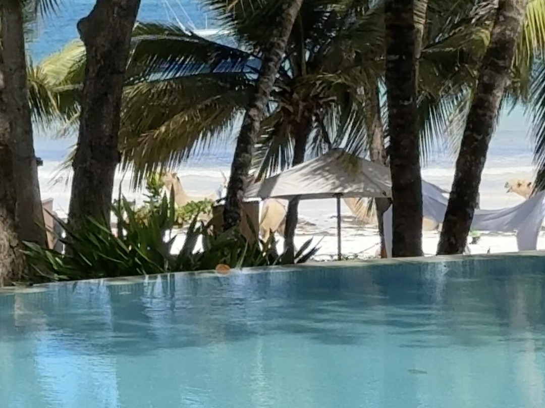 Almanara Luxury Boutique Hotel & Villas主图