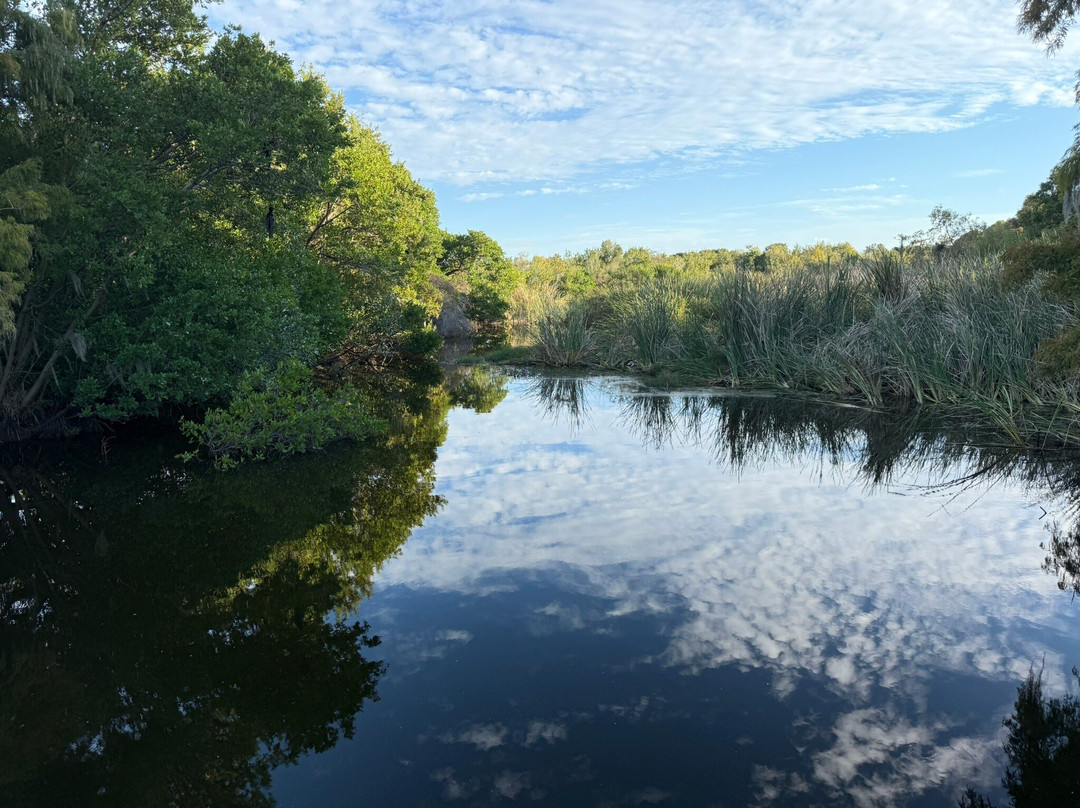 Boyd Hill Nature Preserve-圣彼德斯堡必去景点