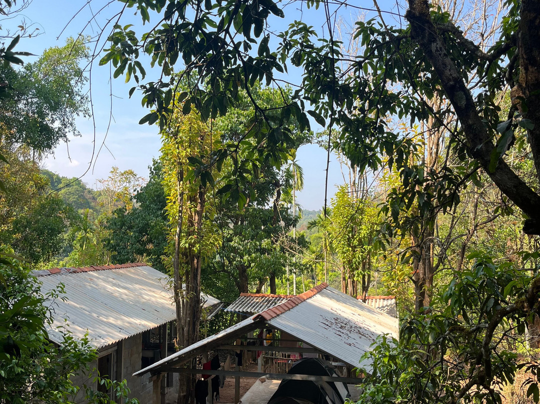 Forested India Expeditions