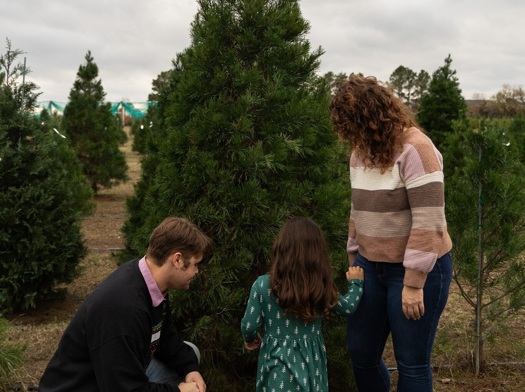 Owasso Christmas Tree And Berry Farm-奥瓦索必去景点